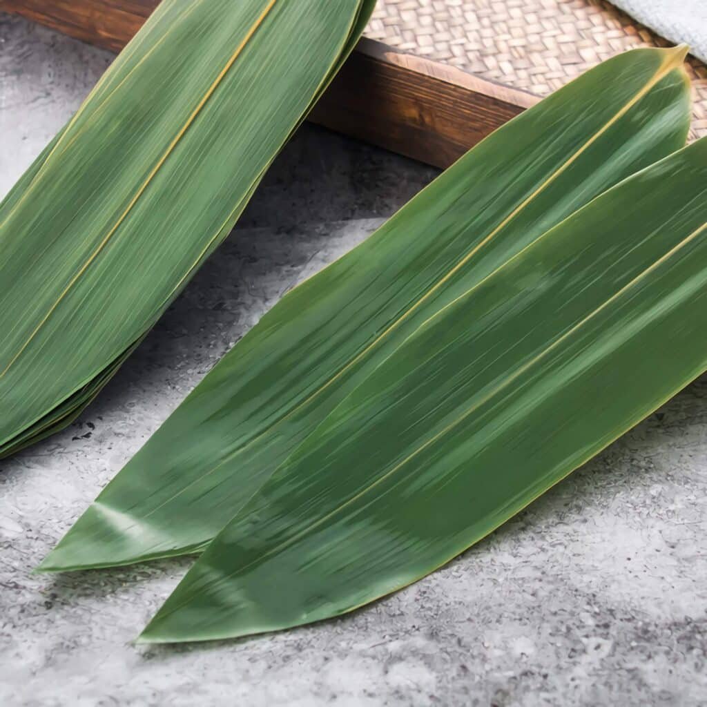 feuilles de bambou