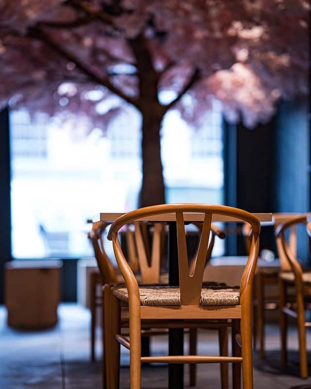 Restaurant japonais halal à Bruxelles après Ramadan